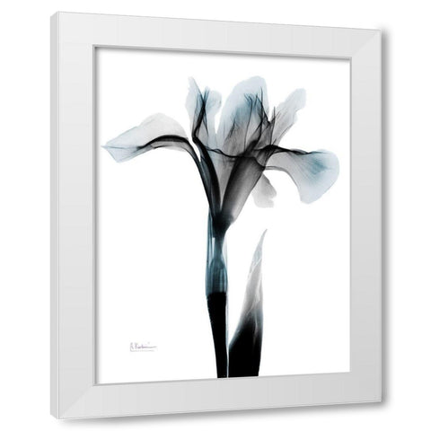 Ombre Sea Salt Iris White Modern Wood Framed Art Print by Koetsier, Albert