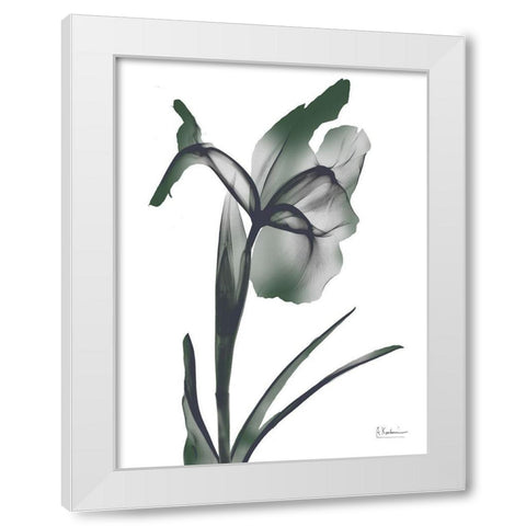 Ombre Jungle Iris 1 White Modern Wood Framed Art Print by Koetsier, Albert