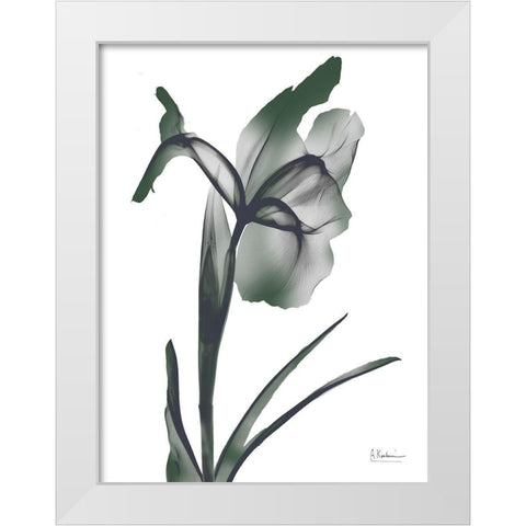 Ombre Jungle Iris 1 White Modern Wood Framed Art Print by Koetsier, Albert