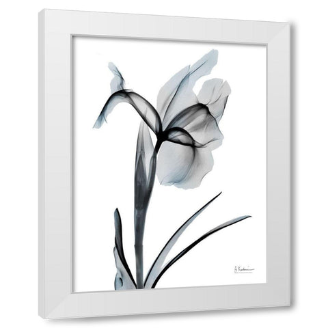 Ombre Sea Salt Iris 2 White Modern Wood Framed Art Print by Koetsier, Albert