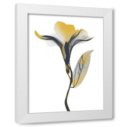 Ombre Sunshine Oleander 1 White Modern Wood Framed Art Print by Koetsier, Albert