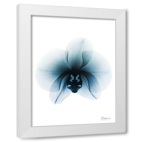 Glacial Orchid 1 RC White Modern Wood Framed Art Print by Koetsier, Albert