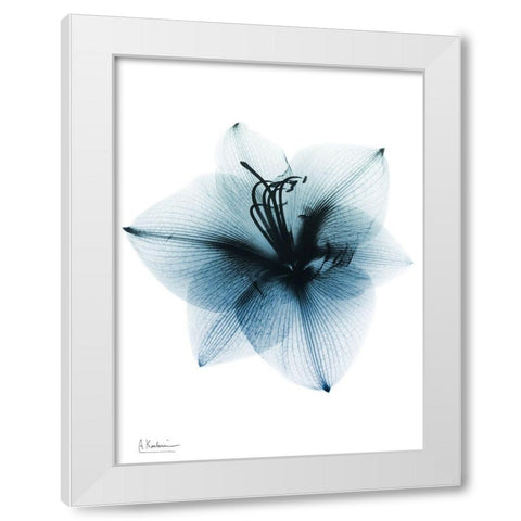 Glacial Amaryllis 1 RC White Modern Wood Framed Art Print by Koetsier, Albert