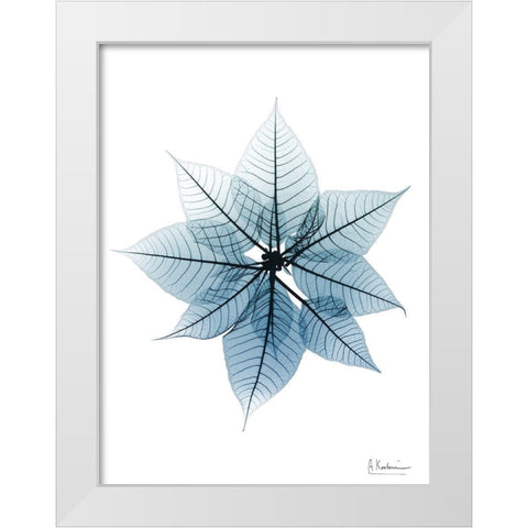 Iced Poinsettia 1 RC White Modern Wood Framed Art Print by Koetsier, Albert