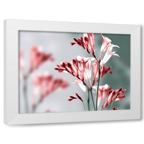 Unfocused Beauty 1 White Modern Wood Framed Art Print by Koetsier, Albert