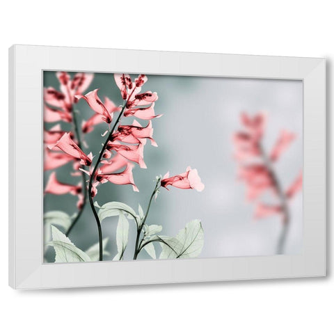 Unfocused Beauty 2 White Modern Wood Framed Art Print by Koetsier, Albert