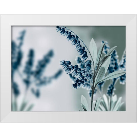 Unfocused Visions 2 White Modern Wood Framed Art Print by Koetsier, Albert