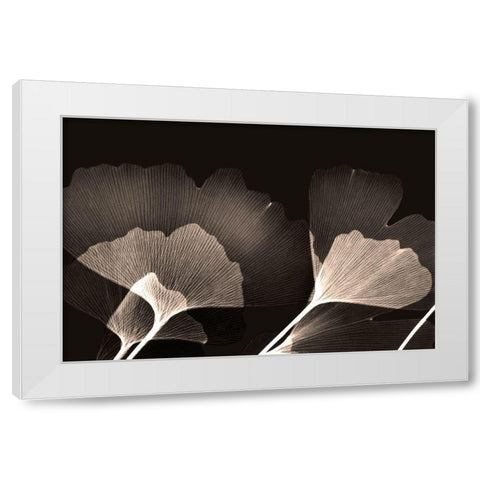 Chocolate Ginko White Modern Wood Framed Art Print by Koetsier, Albert