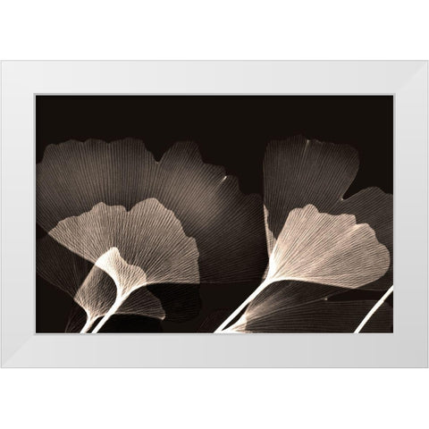 Chocolate Ginko White Modern Wood Framed Art Print by Koetsier, Albert