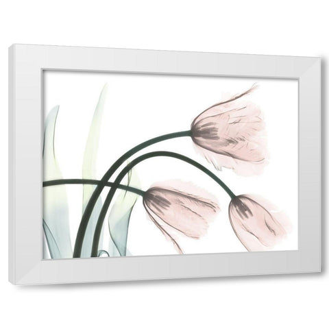 Refreshing Bloomed 1 White Modern Wood Framed Art Print by Koetsier, Albert