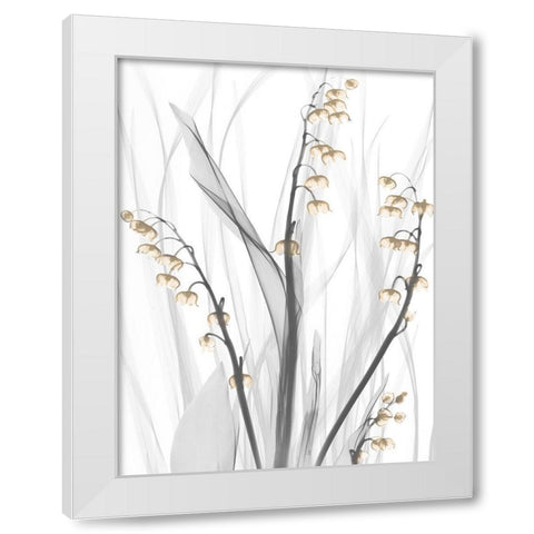 Delightful Oasis 3 White Modern Wood Framed Art Print by Koetsier, Albert