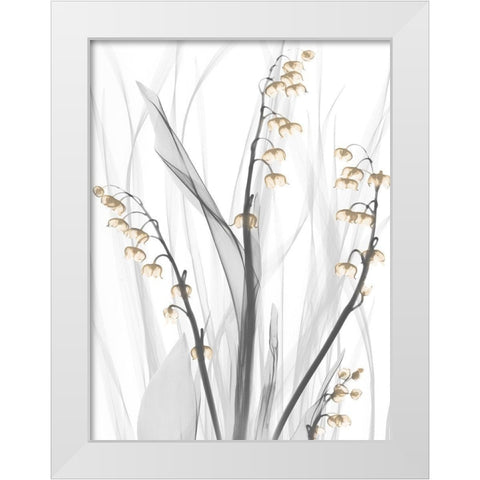 Delightful Oasis 3 White Modern Wood Framed Art Print by Koetsier, Albert