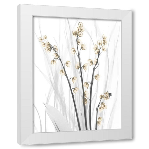 Delightful Oasis 4 White Modern Wood Framed Art Print by Koetsier, Albert