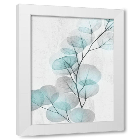 Eucalyptus Glow 4 White Modern Wood Framed Art Print by Koetsier, Albert