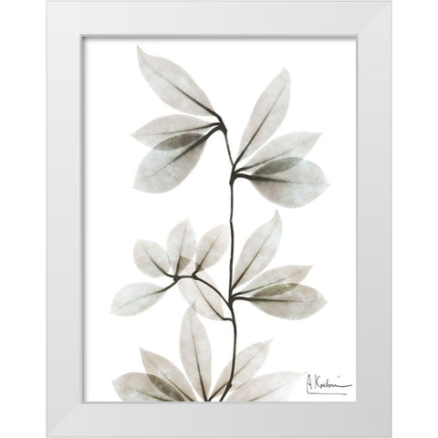 Sandy Wonder 3 White Modern Wood Framed Art Print by Koetsier, Albert