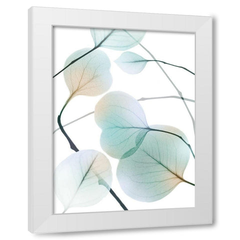 Sunkissed Eternity 2 White Modern Wood Framed Art Print by Koetsier, Albert
