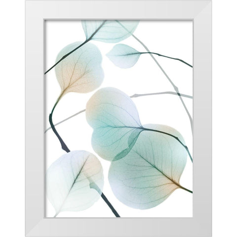 Sunkissed Eternity 2 White Modern Wood Framed Art Print by Koetsier, Albert