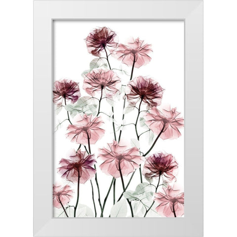 Magnificent Flower Bed 2 White Modern Wood Framed Art Print by Koetsier, Albert