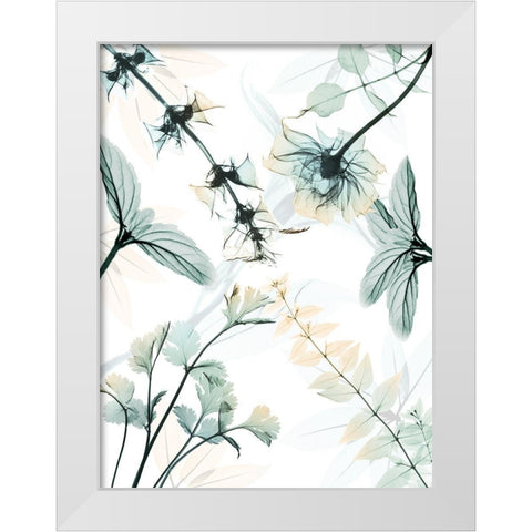 Reaching Beauty 2 White Modern Wood Framed Art Print by Koetsier, Albert