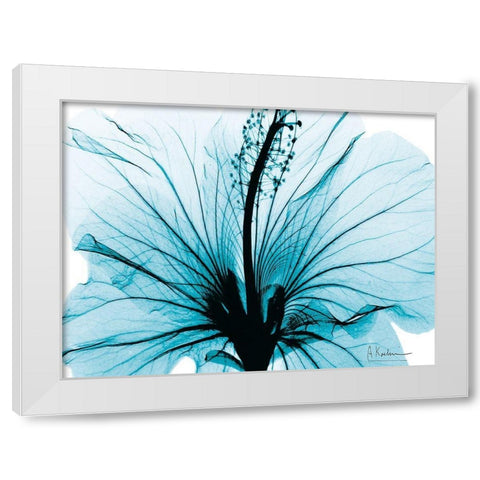 Aqua Hibiscus White Modern Wood Framed Art Print by Koetsier, Albert