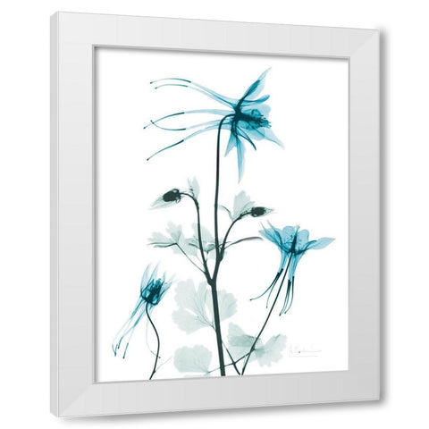 Aqua Columbine White Modern Wood Framed Art Print by Koetsier, Albert