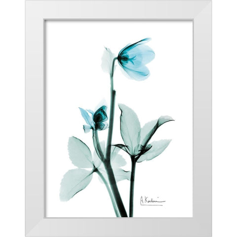 Aqua Helle Borus White Modern Wood Framed Art Print by Koetsier, Albert