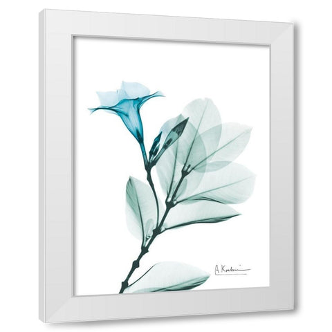 Aqua Mandelilla White Modern Wood Framed Art Print by Koetsier, Albert