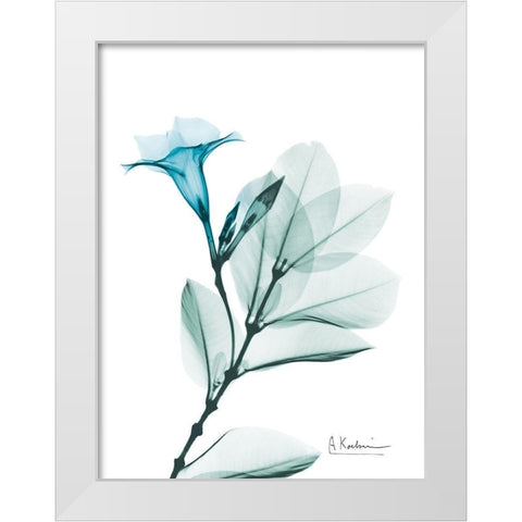 Aqua Mandelilla White Modern Wood Framed Art Print by Koetsier, Albert