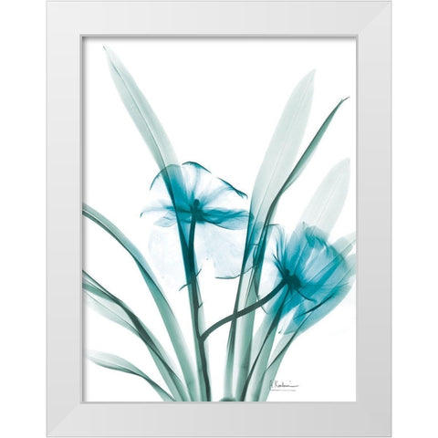 Aqua Dedrodium Orchid White Modern Wood Framed Art Print by Koetsier, Albert