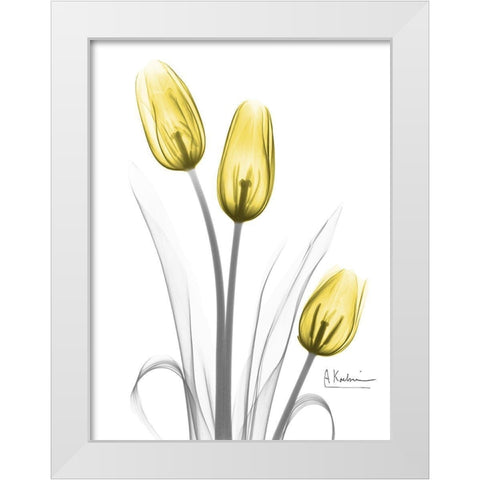 Illuminating Tulip Trio White Modern Wood Framed Art Print by Koetsier, Albert