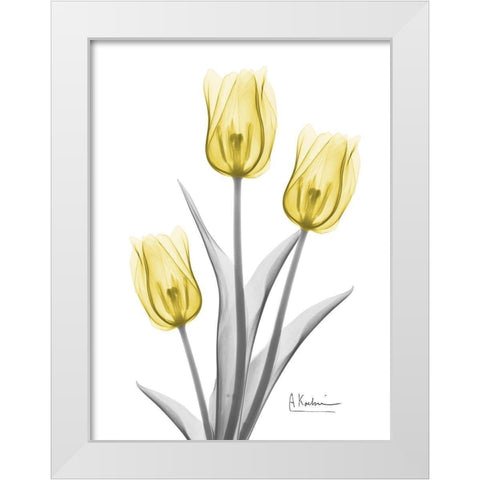 Illuminating Tulip Trio 2 White Modern Wood Framed Art Print by Koetsier, Albert