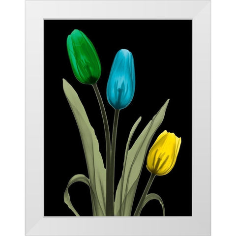 Jeweled Tulip Trio 3 White Modern Wood Framed Art Print by Koetsier, Albert