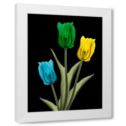 Jeweled Tulip Trio 4 White Modern Wood Framed Art Print by Koetsier, Albert