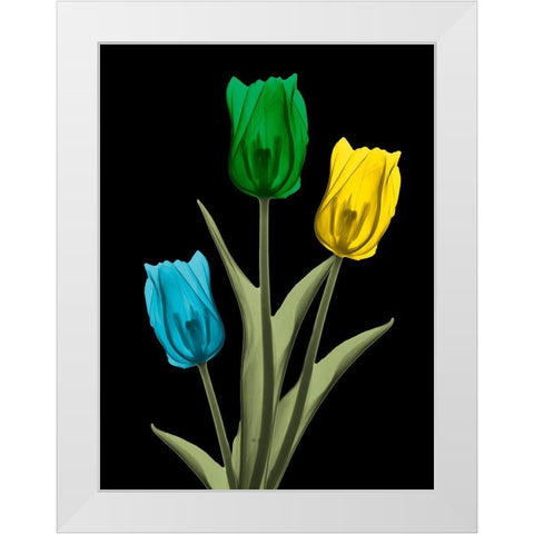 Jeweled Tulip Trio 4 White Modern Wood Framed Art Print by Koetsier, Albert