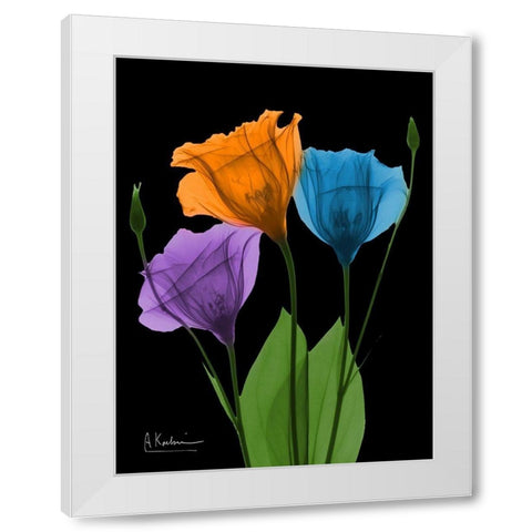 Jewel Gentian Buddies 3 White Modern Wood Framed Art Print by Koetsier, Albert