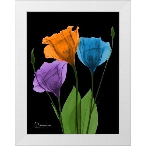 Jewel Gentian Buddies 3 White Modern Wood Framed Art Print by Koetsier, Albert