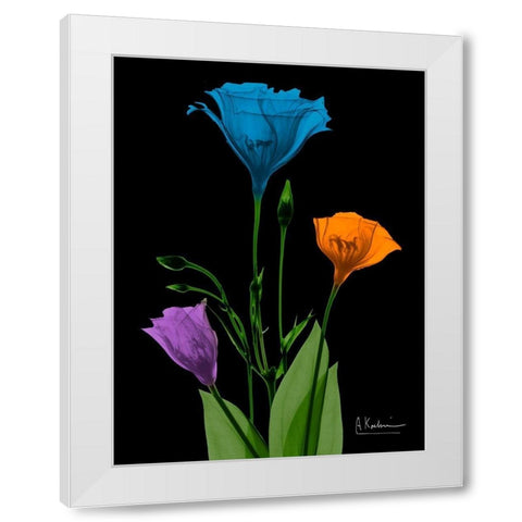 Jewel Gentian Buddies 4 White Modern Wood Framed Art Print by Koetsier, Albert