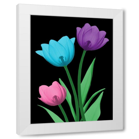 Shiny Tulips 3 White Modern Wood Framed Art Print by Koetsier, Albert