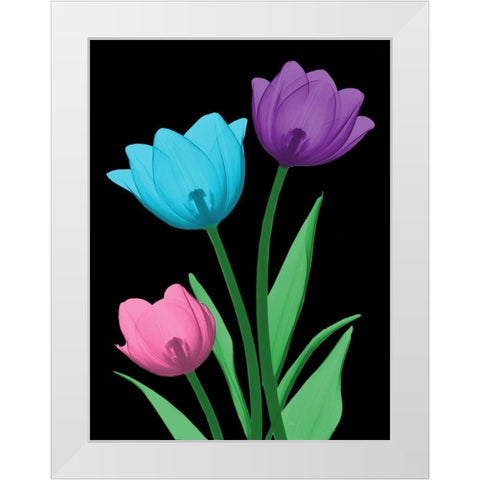 Shiny Tulips 3 White Modern Wood Framed Art Print by Koetsier, Albert