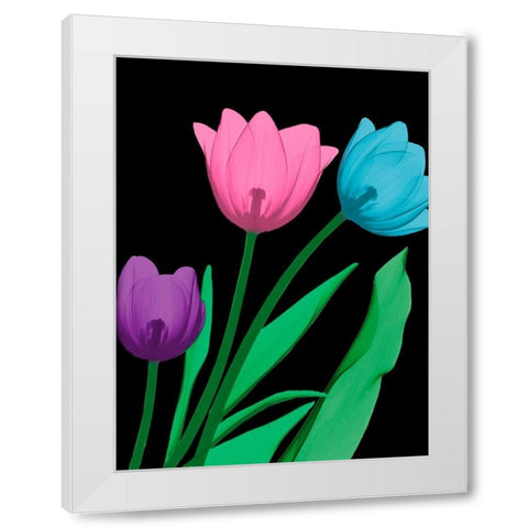Shiny Tulips 4 White Modern Wood Framed Art Print by Koetsier, Albert