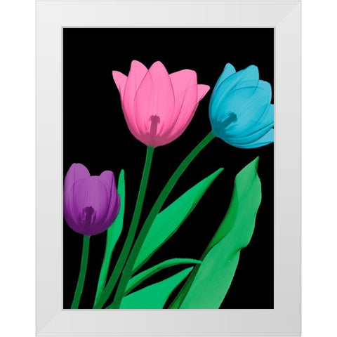 Shiny Tulips 4 White Modern Wood Framed Art Print by Koetsier, Albert