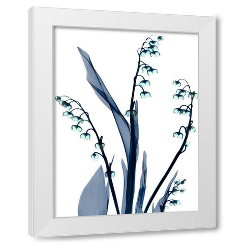 Midnight Oasis 1 White Modern Wood Framed Art Print by Koetsier, Albert