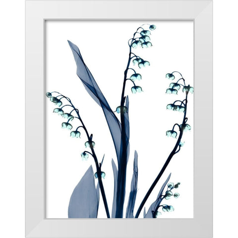 Midnight Oasis 1 White Modern Wood Framed Art Print by Koetsier, Albert