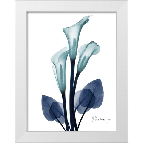 Midnight Calla Lily 1 White Modern Wood Framed Art Print by Koetsier, Albert