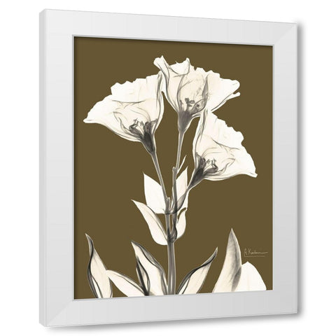 Gentian Fall White Modern Wood Framed Art Print by Koetsier, Albert