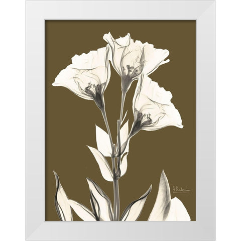 Gentian Fall White Modern Wood Framed Art Print by Koetsier, Albert