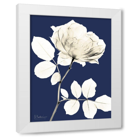 Rose Cool Dynasty 1 White Modern Wood Framed Art Print by Koetsier, Albert