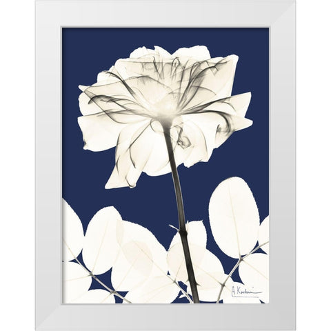 Rose Cool Dynasty 2 White Modern Wood Framed Art Print by Koetsier, Albert