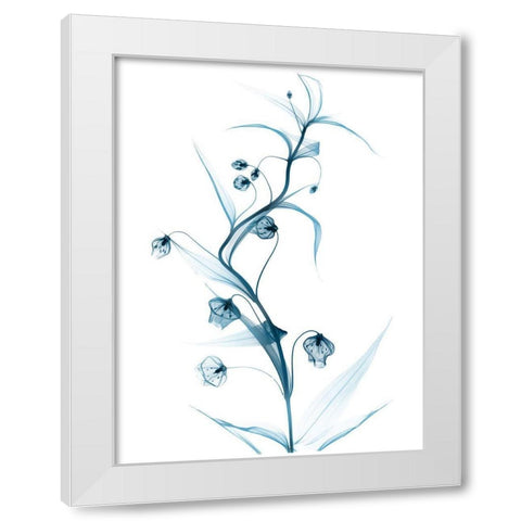 Blue Globe Lily White Modern Wood Framed Art Print by Koetsier, Albert