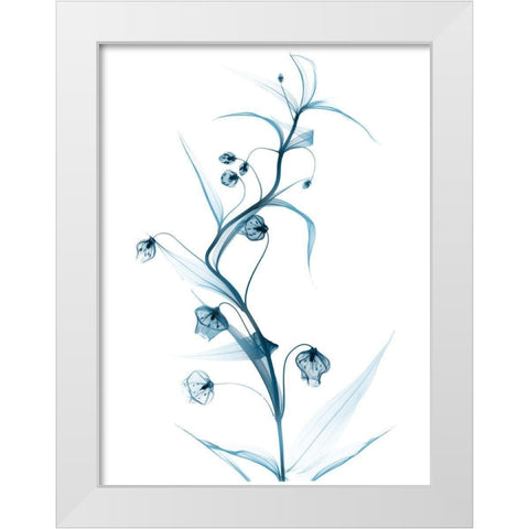 Blue Globe Lily White Modern Wood Framed Art Print by Koetsier, Albert